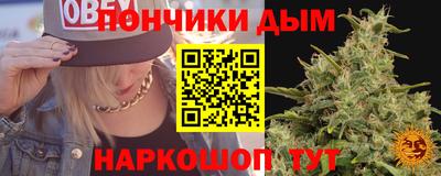 шишки Моздок